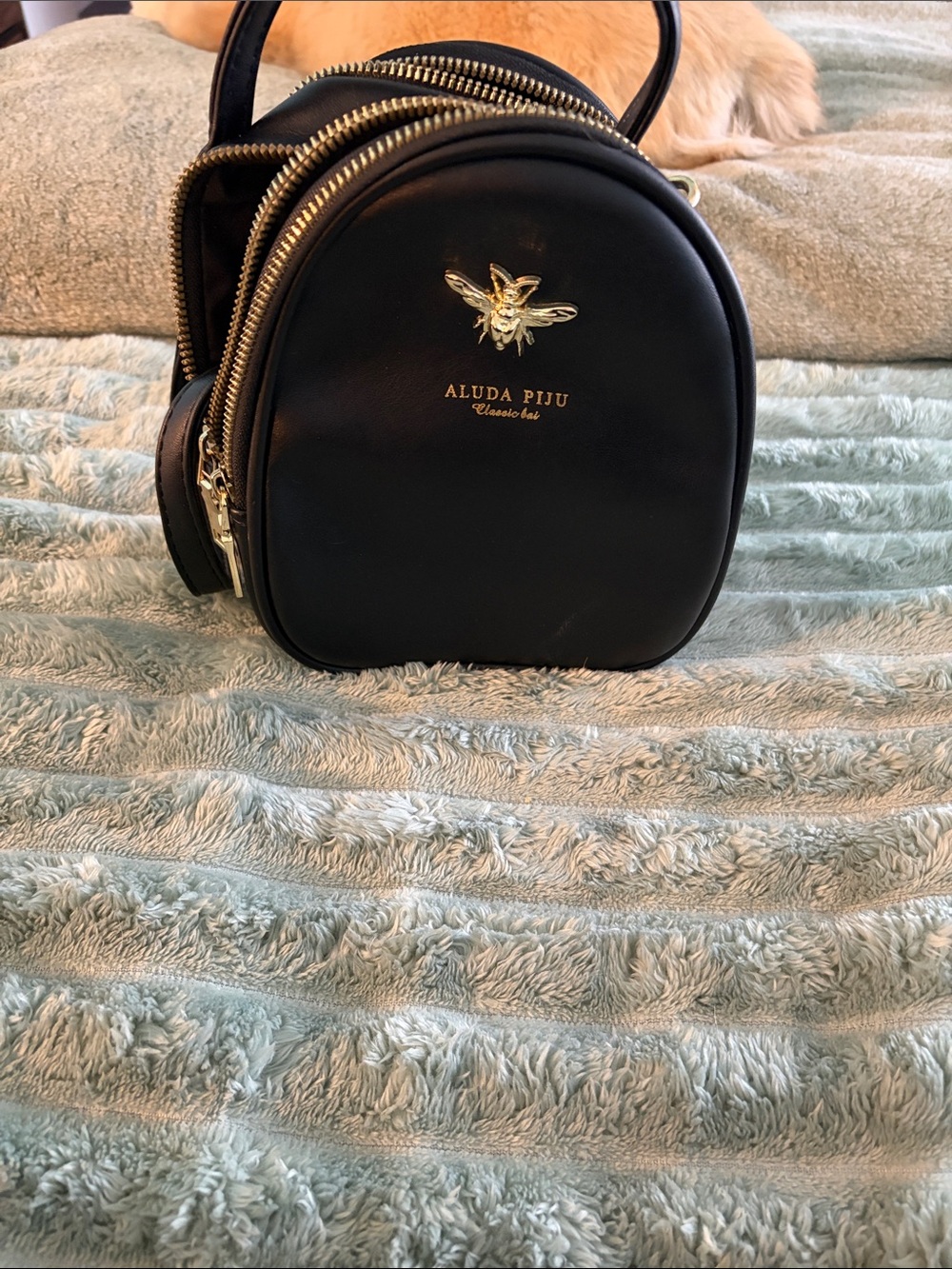 Black Mini Dome Crossbody Bag with Gold Bee Accent